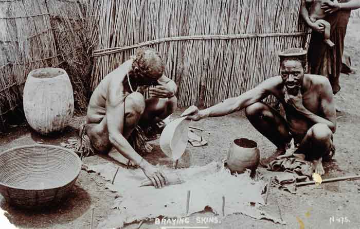 braying skins Durban