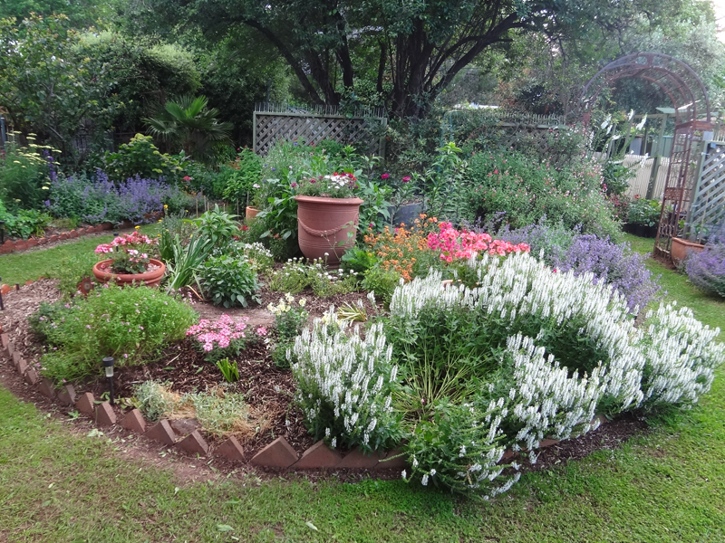 canberra garden pics 2021