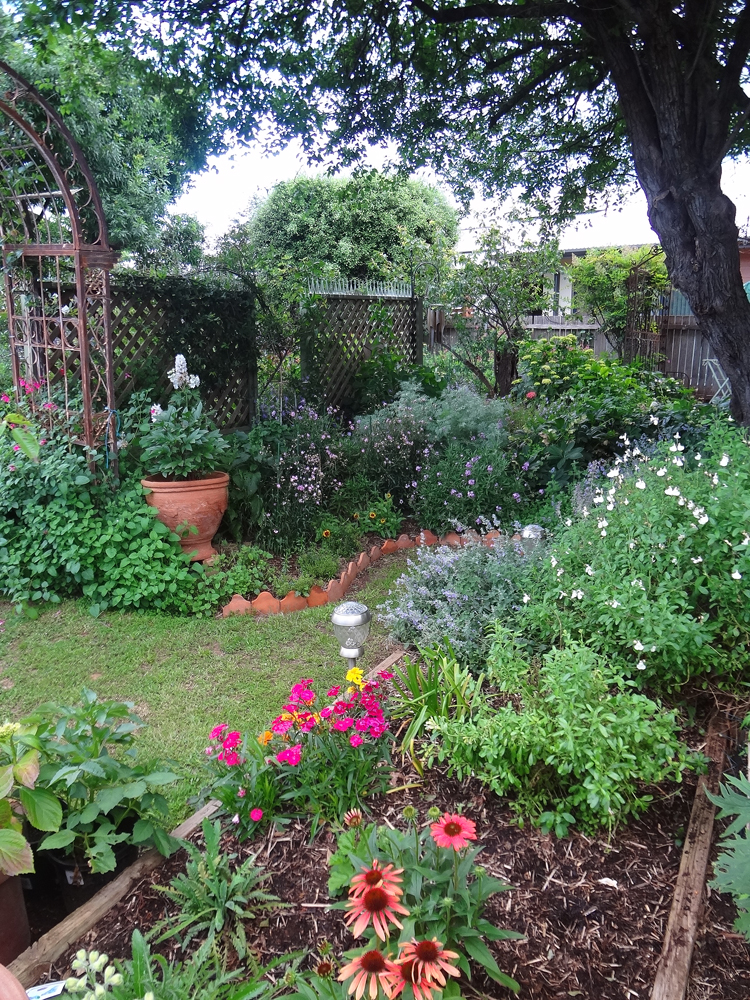 canberra garden pics 2021