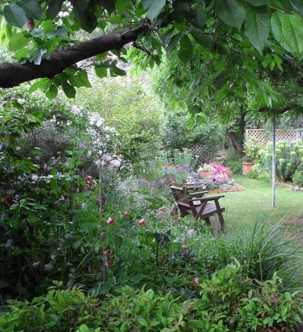 canberra garden pics 2012