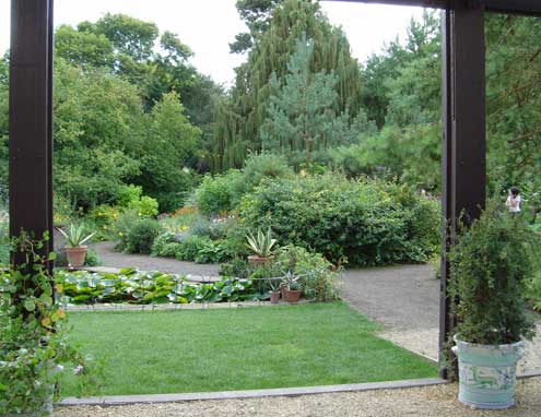 hidcote from greenhouse