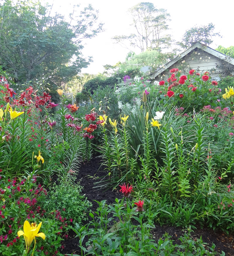 potting shed garden 2018