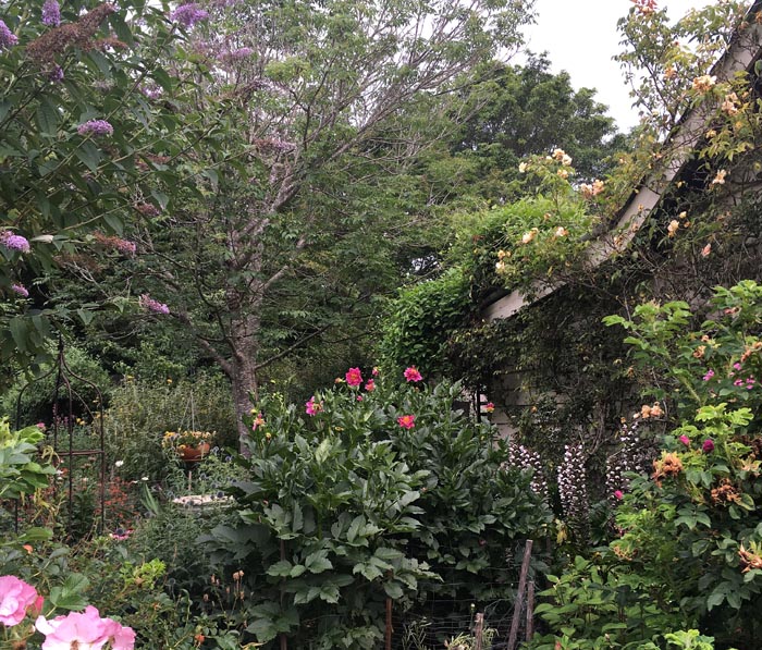 potting shed garden 2016